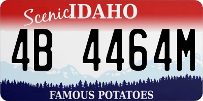 ID license plate 4B4464M