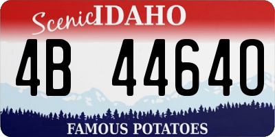 ID license plate 4B4464O