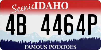 ID license plate 4B4464P