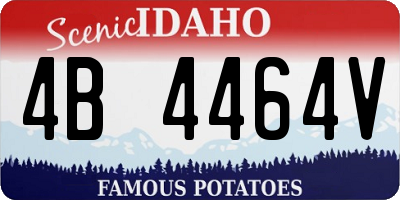 ID license plate 4B4464V