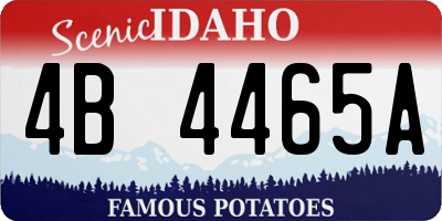 ID license plate 4B4465A