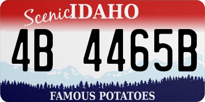 ID license plate 4B4465B