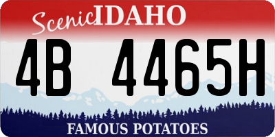 ID license plate 4B4465H