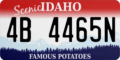ID license plate 4B4465N
