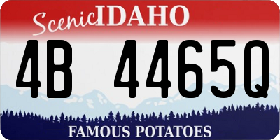 ID license plate 4B4465Q