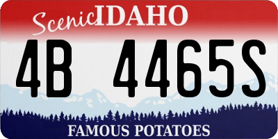 ID license plate 4B4465S