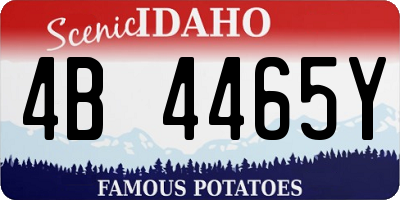 ID license plate 4B4465Y
