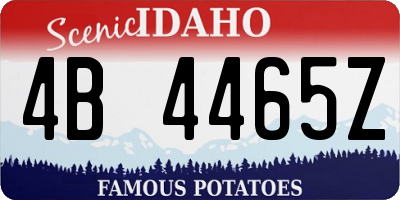 ID license plate 4B4465Z