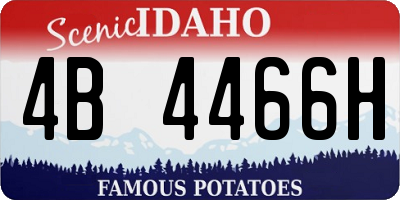 ID license plate 4B4466H