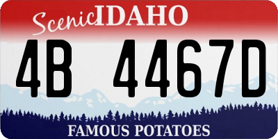 ID license plate 4B4467D