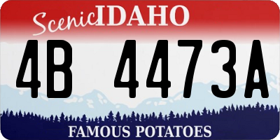 ID license plate 4B4473A