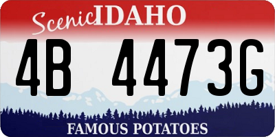 ID license plate 4B4473G
