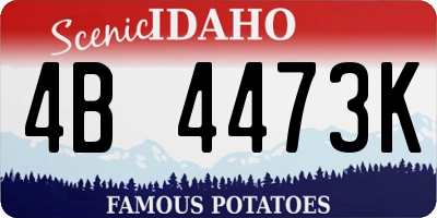 ID license plate 4B4473K