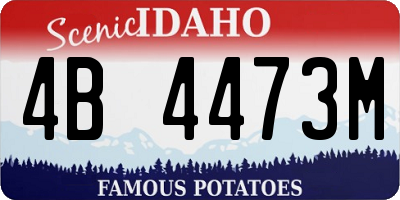ID license plate 4B4473M