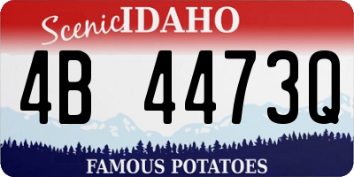 ID license plate 4B4473Q