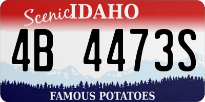 ID license plate 4B4473S