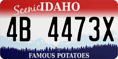 ID license plate 4B4473X