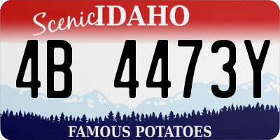 ID license plate 4B4473Y