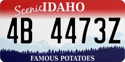 ID license plate 4B4473Z