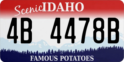 ID license plate 4B4478B
