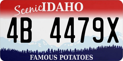 ID license plate 4B4479X