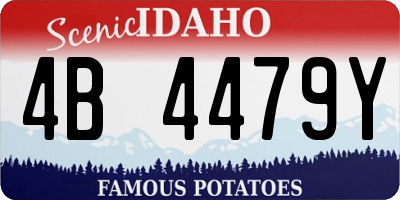 ID license plate 4B4479Y
