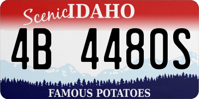 ID license plate 4B4480S