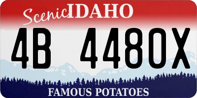 ID license plate 4B4480X