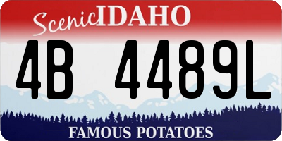 ID license plate 4B4489L