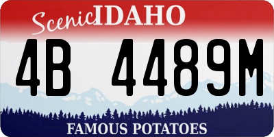 ID license plate 4B4489M