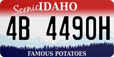 ID license plate 4B4490H