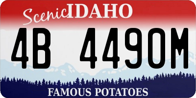 ID license plate 4B4490M