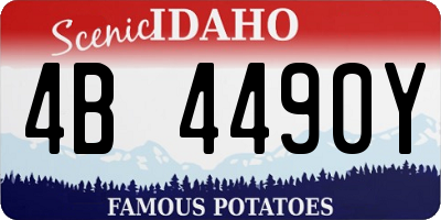 ID license plate 4B4490Y