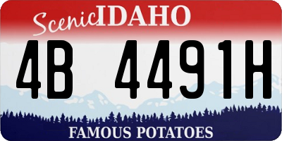 ID license plate 4B4491H