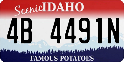 ID license plate 4B4491N