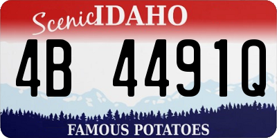ID license plate 4B4491Q