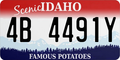ID license plate 4B4491Y