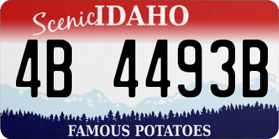 ID license plate 4B4493B