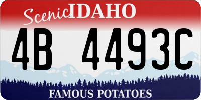 ID license plate 4B4493C