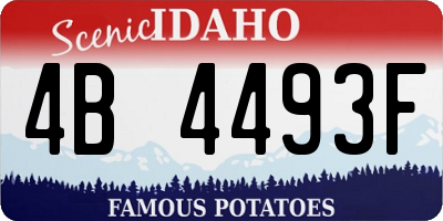 ID license plate 4B4493F