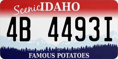 ID license plate 4B4493I