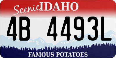 ID license plate 4B4493L
