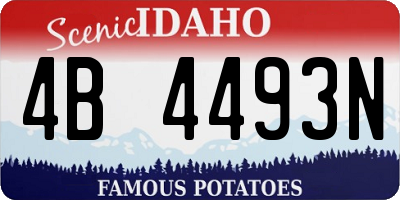 ID license plate 4B4493N