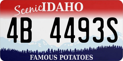 ID license plate 4B4493S