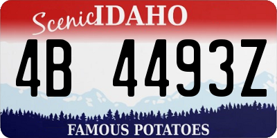 ID license plate 4B4493Z