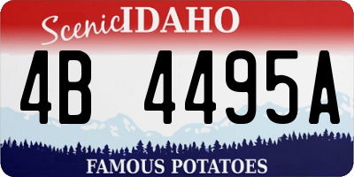 ID license plate 4B4495A
