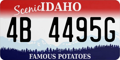 ID license plate 4B4495G