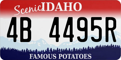 ID license plate 4B4495R
