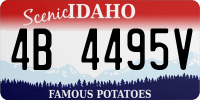ID license plate 4B4495V