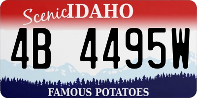ID license plate 4B4495W